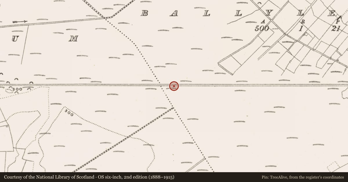 Ordnance Survey six-inch map, 2nd edition (1888–1915) covering the location of Structure - peatland, Ballylennon, County Offaly, with a pin at the register's coordinates