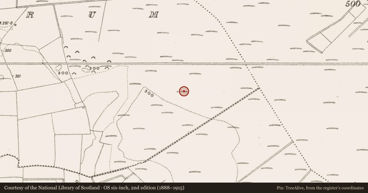 Ordnance Survey six-inch map, 2nd edition (1888–1915) covering the location of Structure - peatland, Rathdrum, County Offaly, with a pin at the register's coordinates