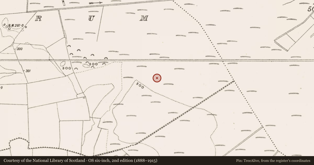 Ordnance Survey six-inch map, 2nd edition (1888–1915) covering the location of Structure - peatland, Rathdrum, County Offaly, with a pin at the register's coordinates