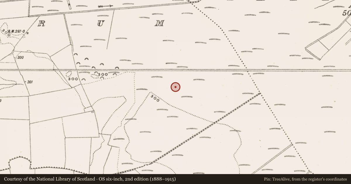 Ordnance Survey six-inch map, 2nd edition (1888–1915) covering the location of Structure - peatland, Rathdrum, County Offaly, with a pin at the register's coordinates