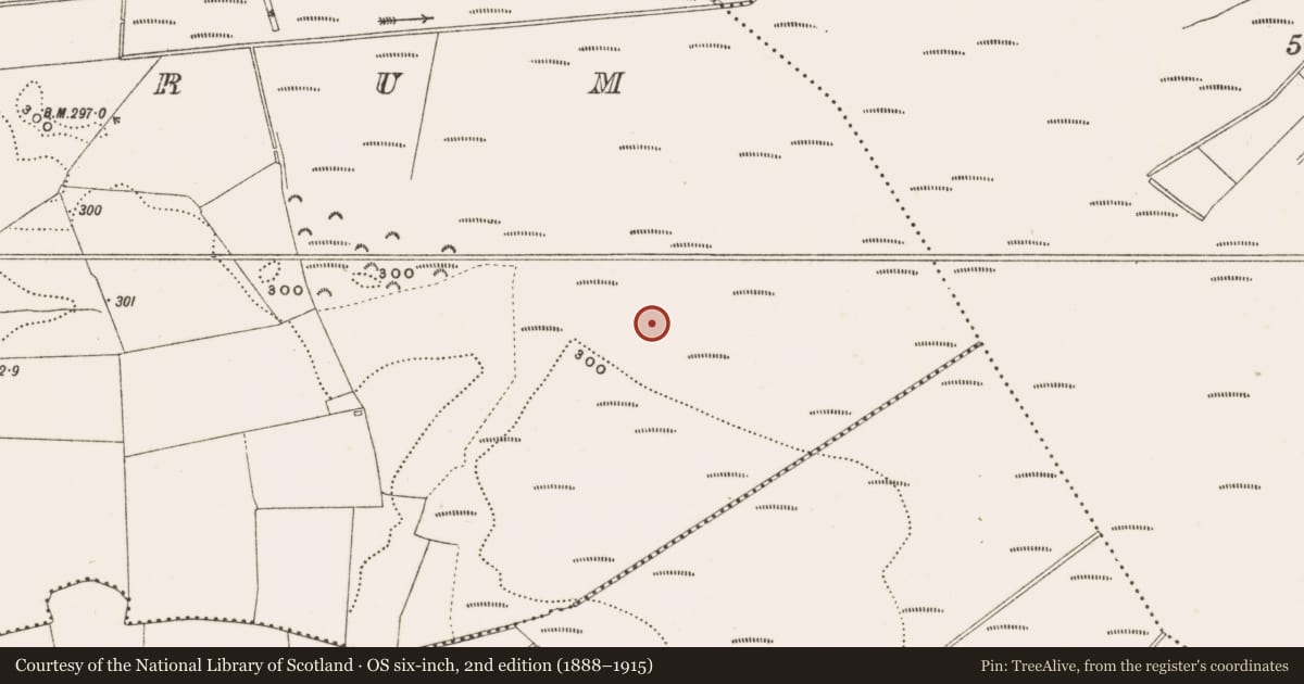 Ordnance Survey six-inch map, 2nd edition (1888–1915) covering the location of Structure - peatland, Rathdrum, County Offaly, with a pin at the register's coordinates