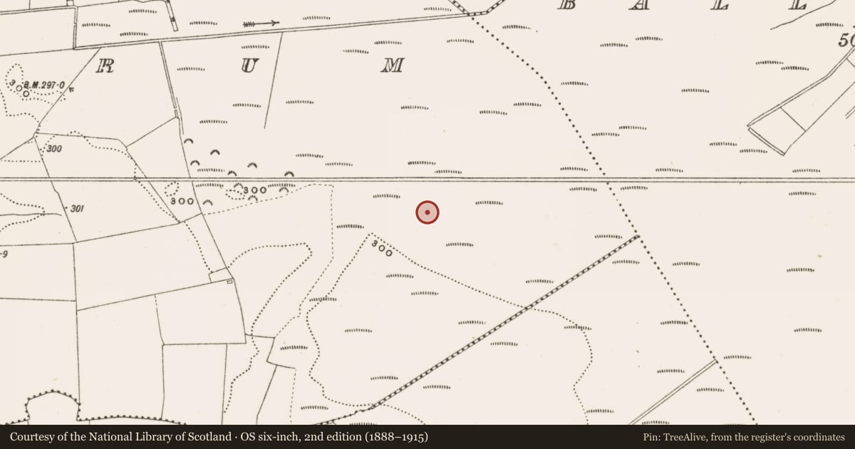 Ordnance Survey six-inch map, 2nd edition (1888–1915) covering the location of Structure - peatland, Rathdrum, County Offaly, with a pin at the register's coordinates