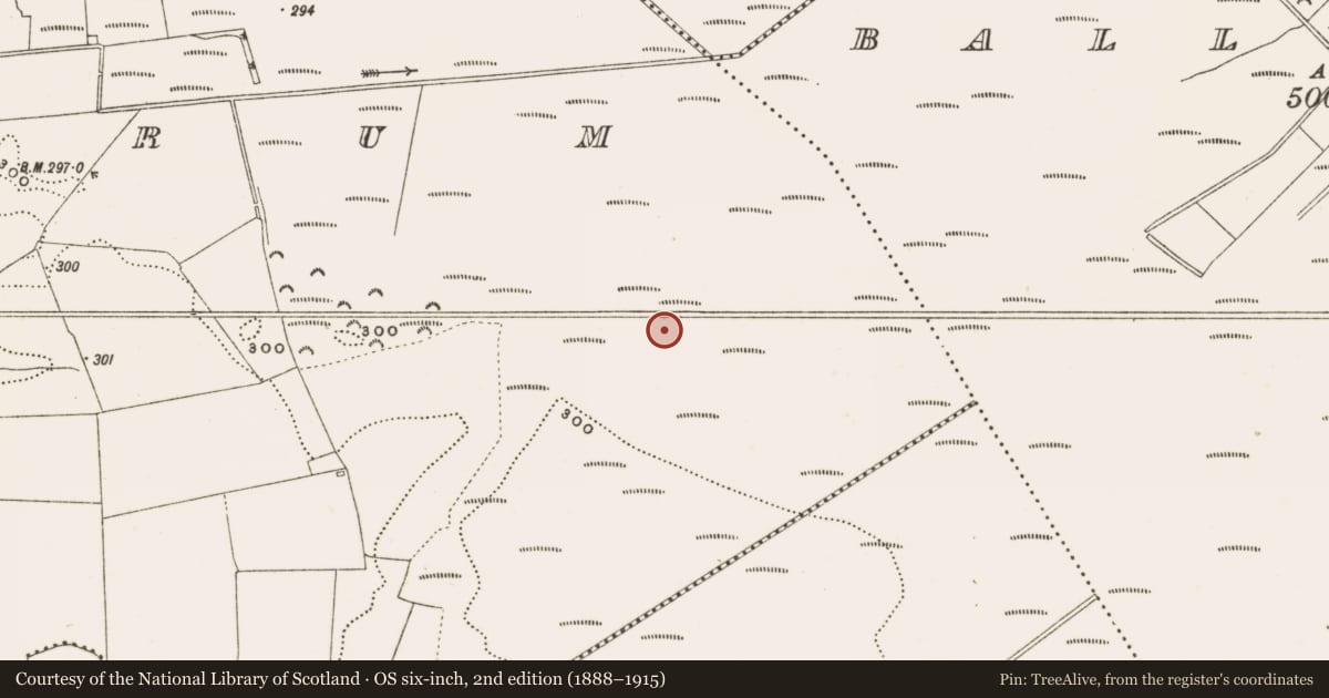 Ordnance Survey six-inch map, 2nd edition (1888–1915) covering the location of Structure - peatland, Rathdrum, County Offaly, with a pin at the register's coordinates