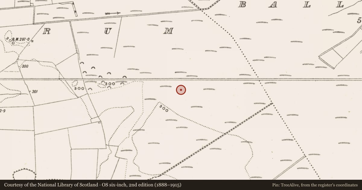Ordnance Survey six-inch map, 2nd edition (1888–1915) covering the location of Structure - peatland, Rathdrum, County Offaly, with a pin at the register's coordinates
