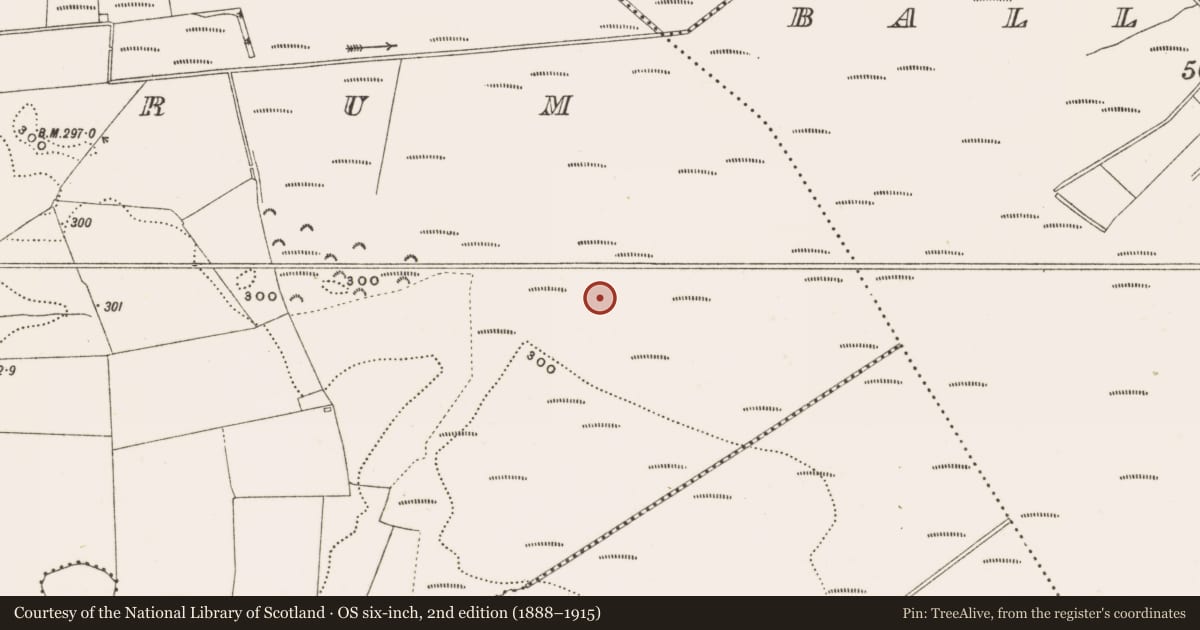 Ordnance Survey six-inch map, 2nd edition (1888–1915) covering the location of Road - class 3 togher, Rathdrum, County Offaly, with a pin at the register's coordinates