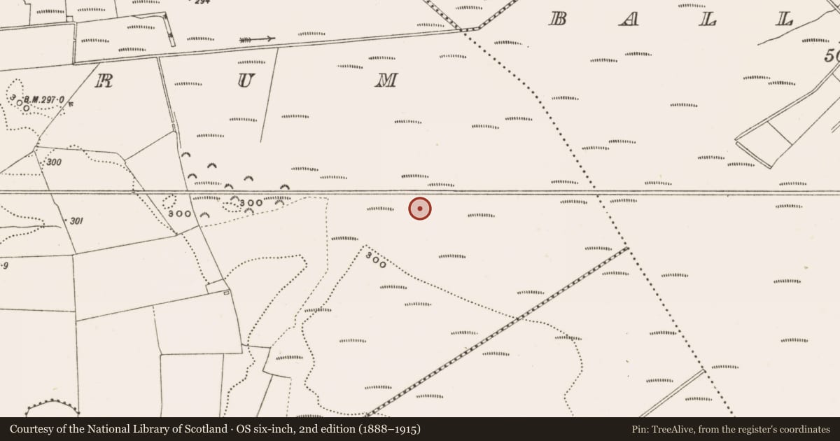 Ordnance Survey six-inch map, 2nd edition (1888–1915) covering the location of Structure - peatland, Rathdrum, County Offaly, with a pin at the register's coordinates