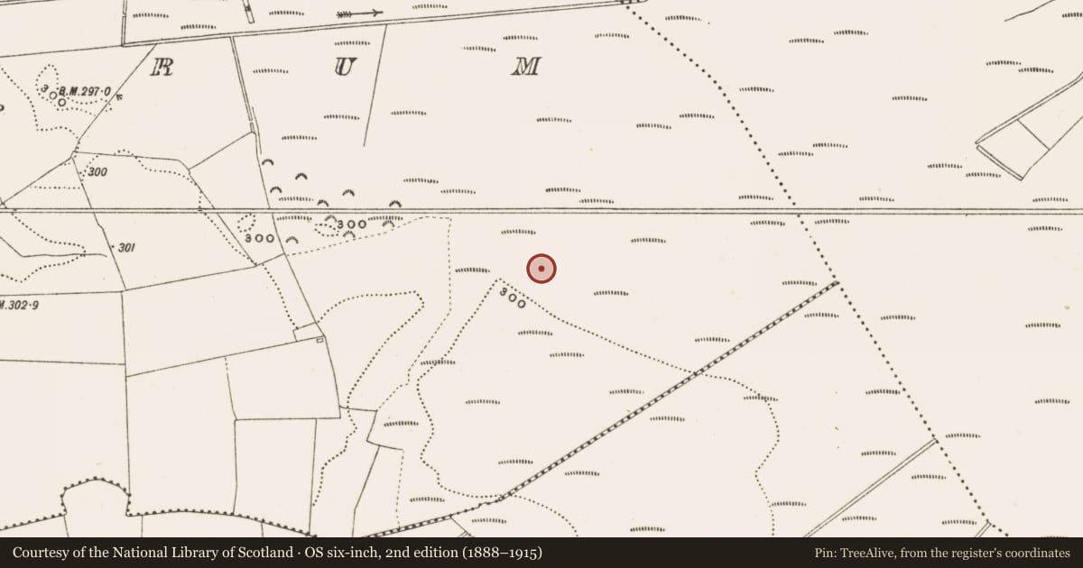 Ordnance Survey six-inch map, 2nd edition (1888–1915) covering the location of Structure - peatland, Rathdrum, County Offaly, with a pin at the register's coordinates