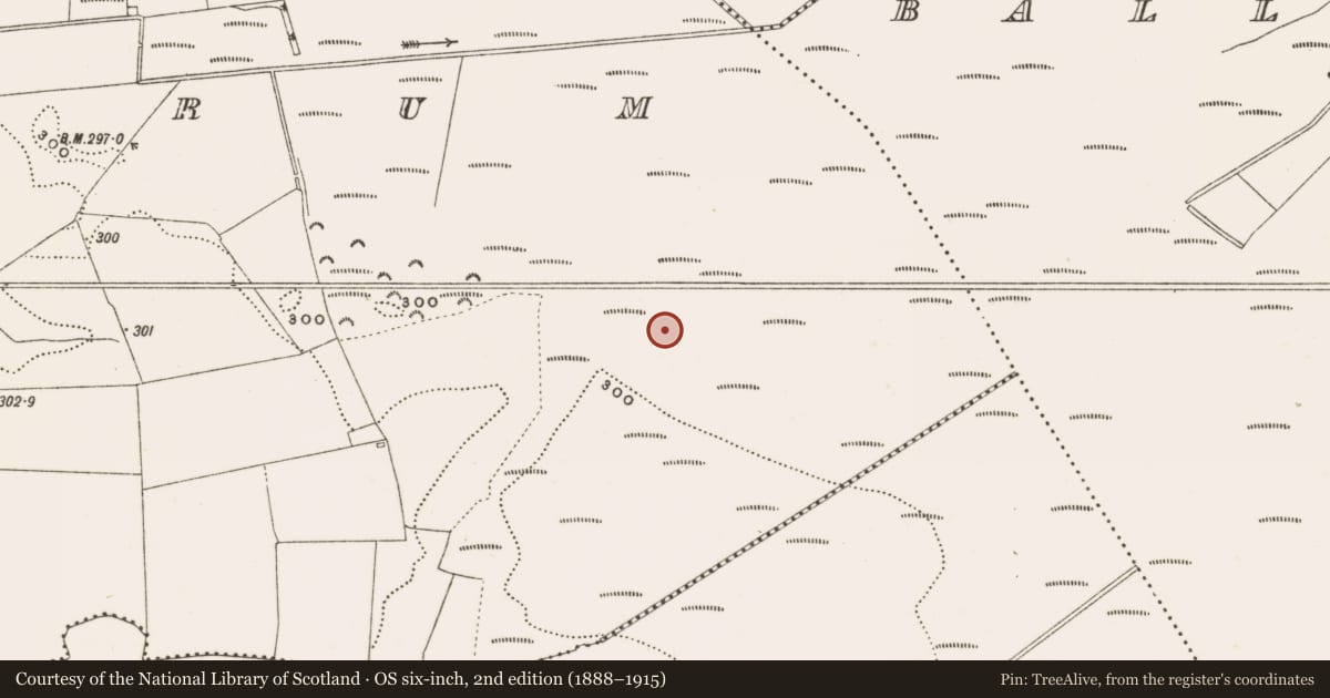 Ordnance Survey six-inch map, 2nd edition (1888–1915) covering the location of Structure - peatland, Rathdrum, County Offaly, with a pin at the register's coordinates