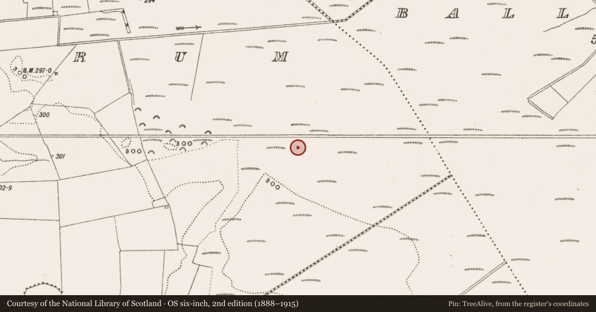 Ordnance Survey six-inch map, 2nd edition (1888–1915) covering the location of Structure - peatland, Rathdrum, County Offaly, with a pin at the register's coordinates
