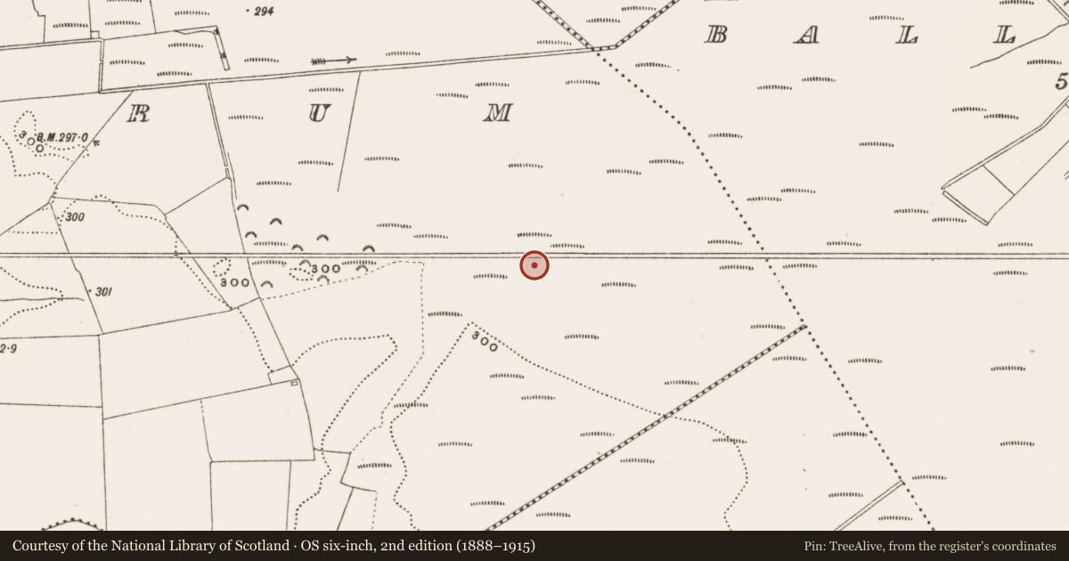 Ordnance Survey six-inch map, 2nd edition (1888–1915) covering the location of Structure - peatland, Rathdrum, County Offaly, with a pin at the register's coordinates