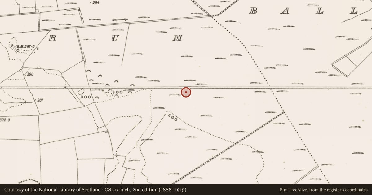 Ordnance Survey six-inch map, 2nd edition (1888–1915) covering the location of Structure - peatland, Rathdrum, County Offaly, with a pin at the register's coordinates