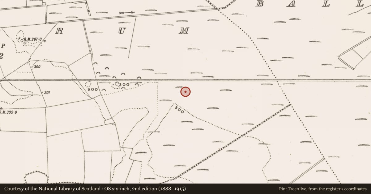 Ordnance Survey six-inch map, 2nd edition (1888–1915) covering the location of Structure - peatland, Rathdrum, County Offaly, with a pin at the register's coordinates