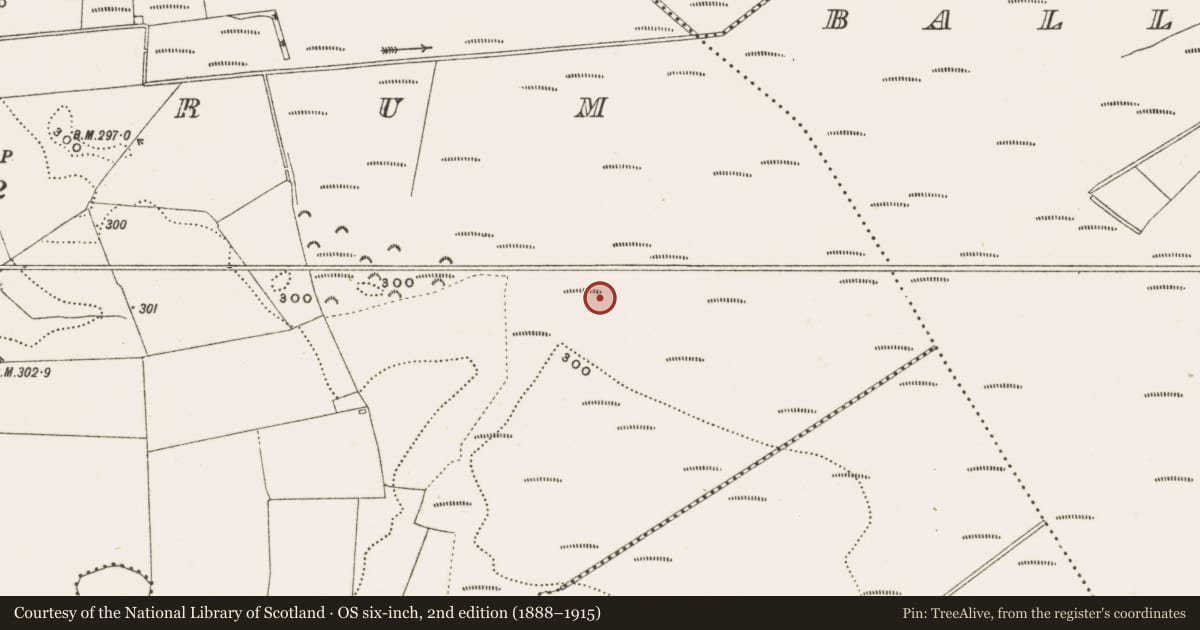 Ordnance Survey six-inch map, 2nd edition (1888–1915) covering the location of Structure - peatland, Rathdrum, County Offaly, with a pin at the register's coordinates