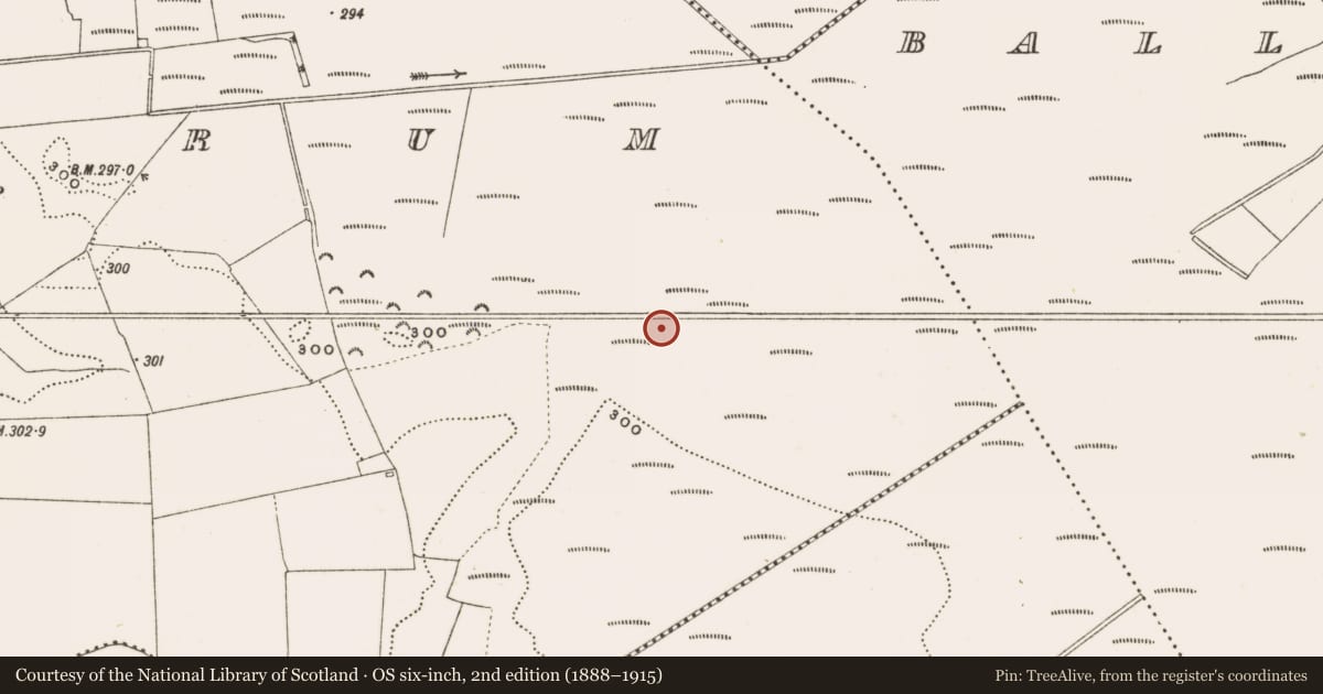 Ordnance Survey six-inch map, 2nd edition (1888–1915) covering the location of Structure - peatland, Rathdrum, County Offaly, with a pin at the register's coordinates