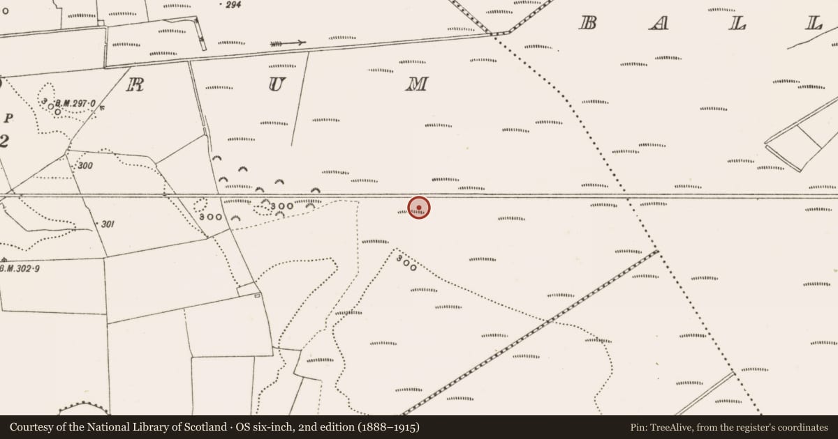 Ordnance Survey six-inch map, 2nd edition (1888–1915) covering the location of Road - class 3 togher, Rathdrum, County Offaly, with a pin at the register's coordinates