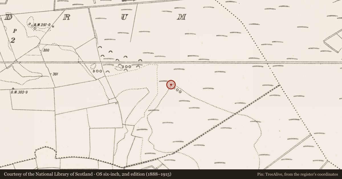 Ordnance Survey six-inch map, 2nd edition (1888–1915) covering the location of Structure - peatland, Rathdrum, County Offaly, with a pin at the register's coordinates