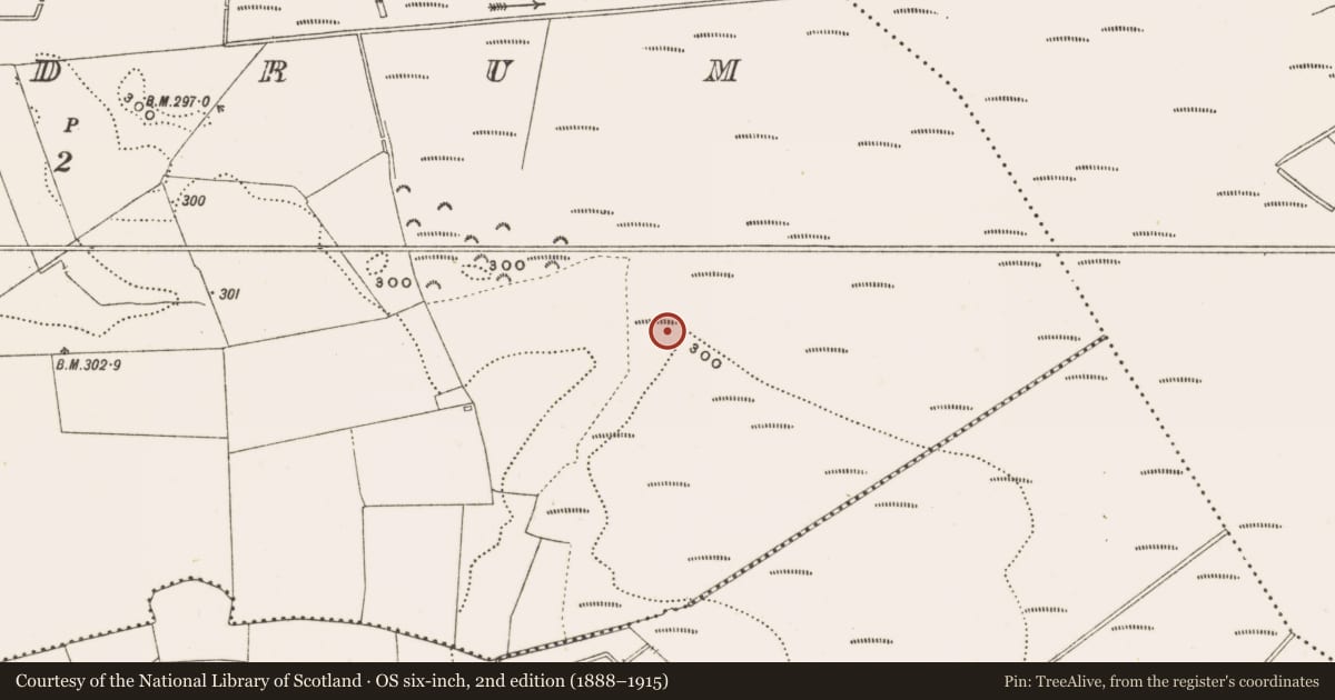 Ordnance Survey six-inch map, 2nd edition (1888–1915) covering the location of Structure - peatland, Rathdrum, County Offaly, with a pin at the register's coordinates
