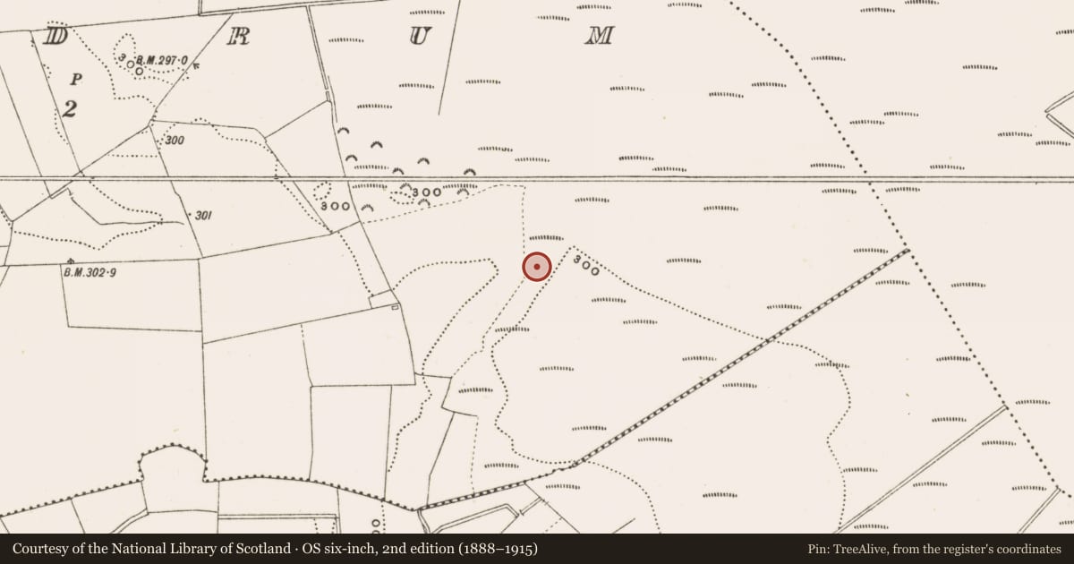 Ordnance Survey six-inch map, 2nd edition (1888–1915) covering the location of Structure - peatland, Rathdrum, County Offaly, with a pin at the register's coordinates