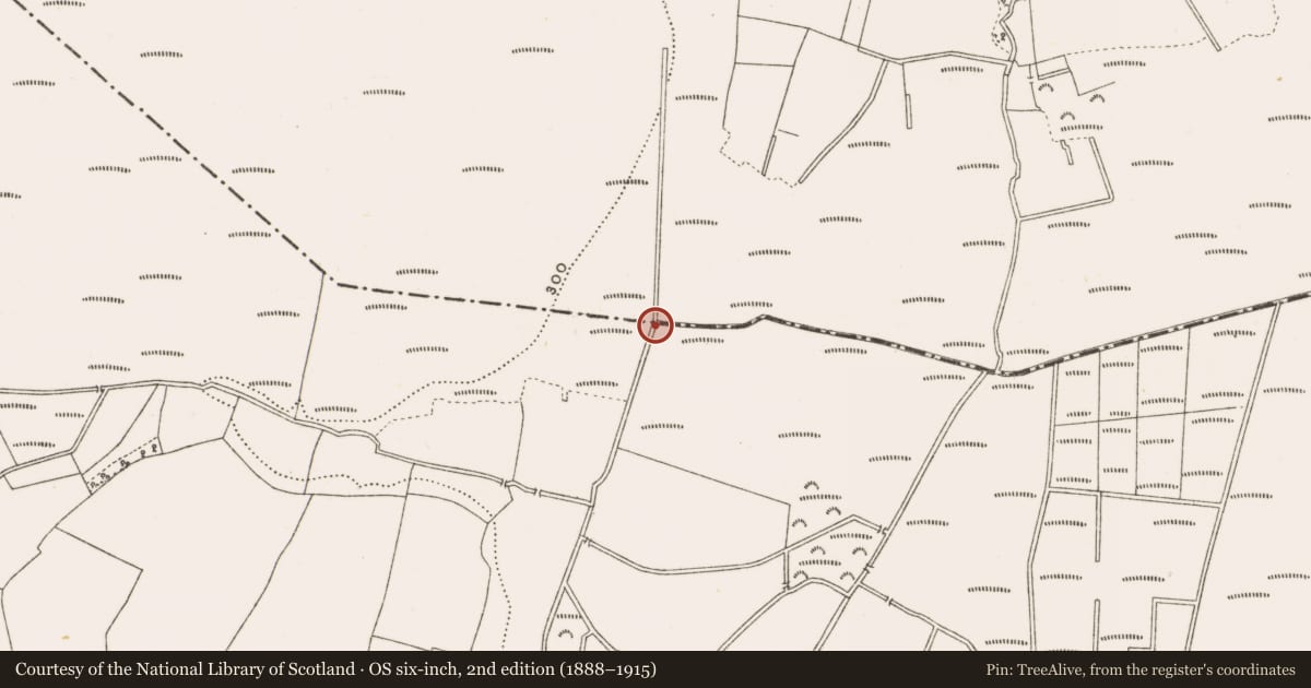 Ordnance Survey six-inch map, 2nd edition (1888–1915) covering the location of Road - class 1 togher, Clonad, Rathfeston, County Offaly, with a pin at the register's coordinates