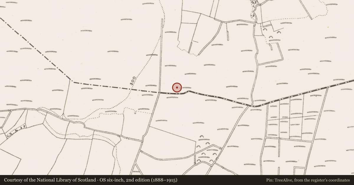 Ordnance Survey six-inch map, 2nd edition (1888–1915) covering the location of Structure - peatland, Clonad, County Offaly, with a pin at the register's coordinates