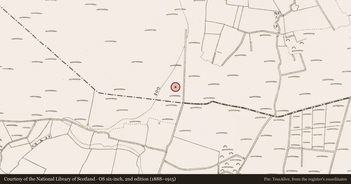 Ordnance Survey six-inch map, 2nd edition (1888–1915) covering the location of Road - class 1 togher, Clonad, Rathfeston, County Offaly, with a pin at the register's coordinates