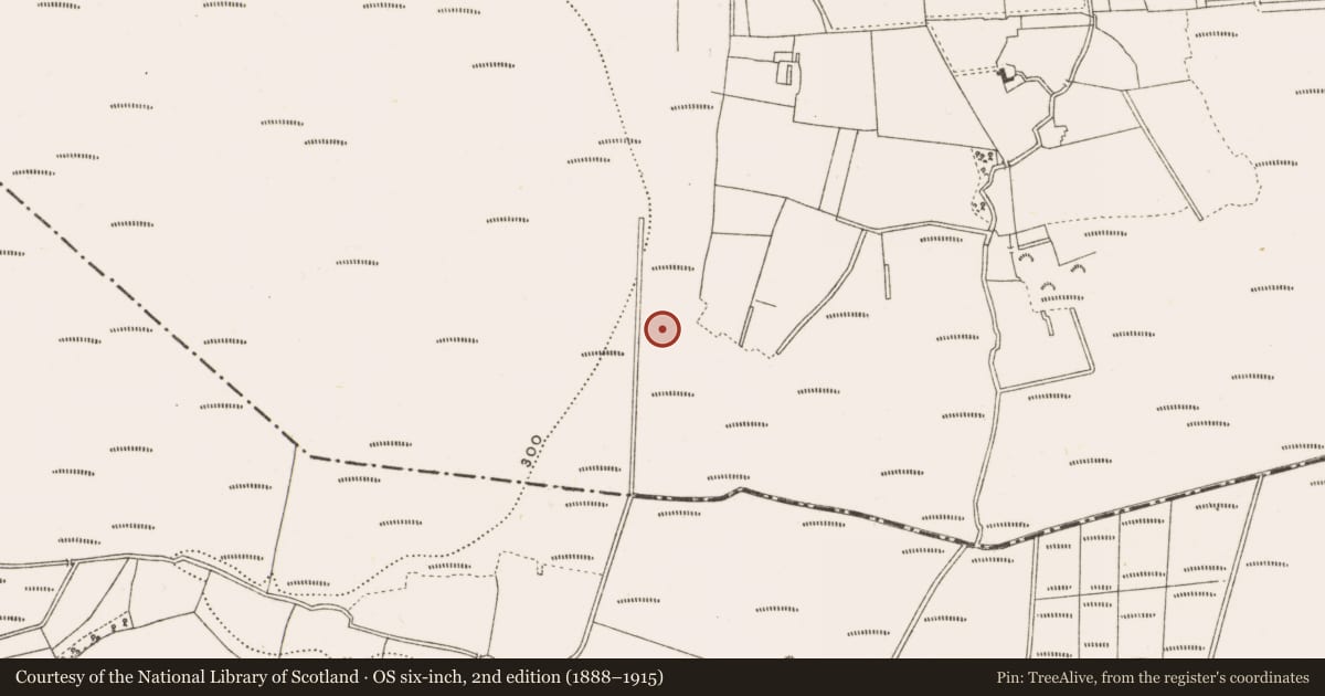 Ordnance Survey six-inch map, 2nd edition (1888–1915) covering the location of Structure - peatland, Clonad, County Offaly, with a pin at the register's coordinates
