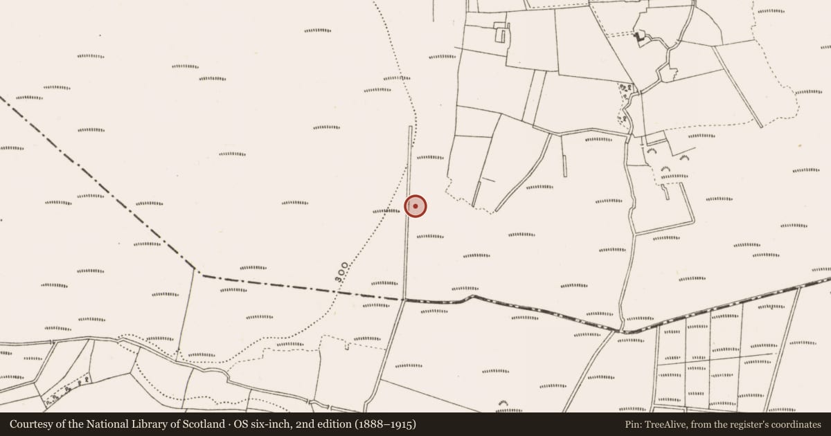 Ordnance Survey six-inch map, 2nd edition (1888–1915) covering the location of Structure - peatland, Clonad, County Offaly, with a pin at the register's coordinates
