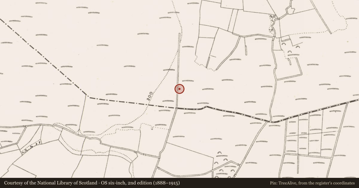 Ordnance Survey six-inch map, 2nd edition (1888–1915) covering the location of Road - class 3 togher, Clonad, County Offaly, with a pin at the register's coordinates