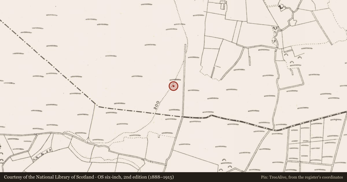 Ordnance Survey six-inch map, 2nd edition (1888–1915) covering the location of Structure - peatland, Clonad, County Offaly, with a pin at the register's coordinates