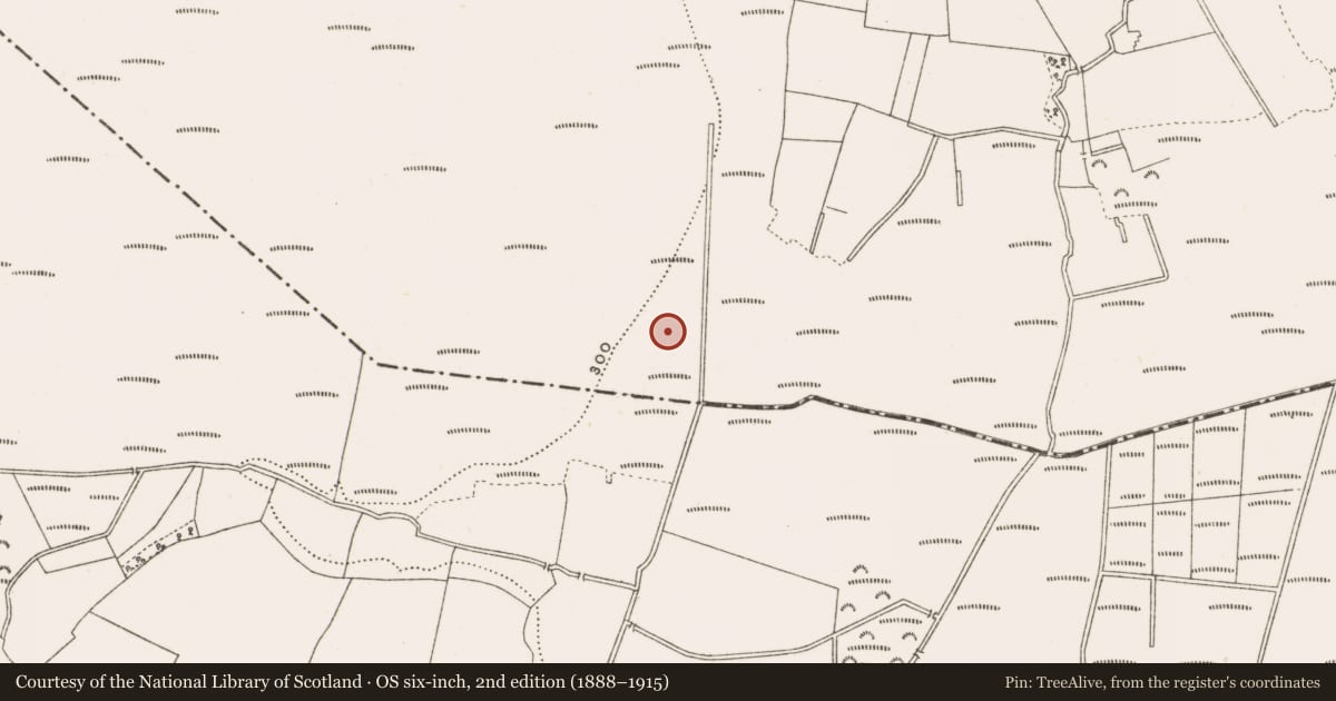 Ordnance Survey six-inch map, 2nd edition (1888–1915) covering the location of Road - class 2 togher, Clonad, County Offaly, with a pin at the register's coordinates