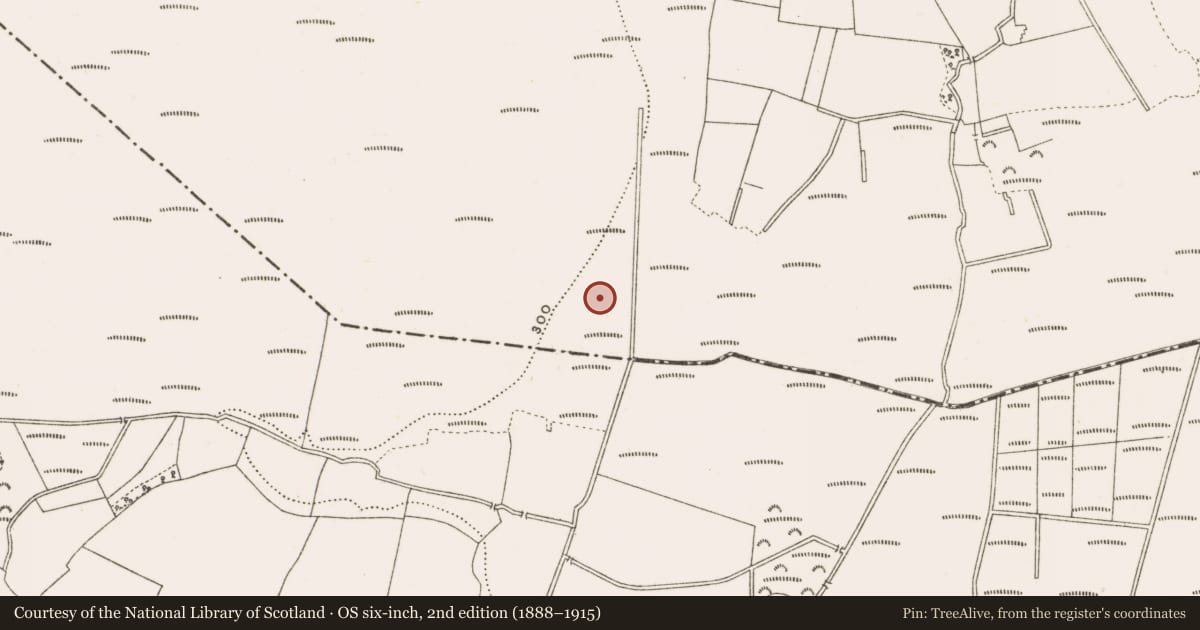Ordnance Survey six-inch map, 2nd edition (1888–1915) covering the location of Road - class 3 togher, Clonad, County Offaly, with a pin at the register's coordinates