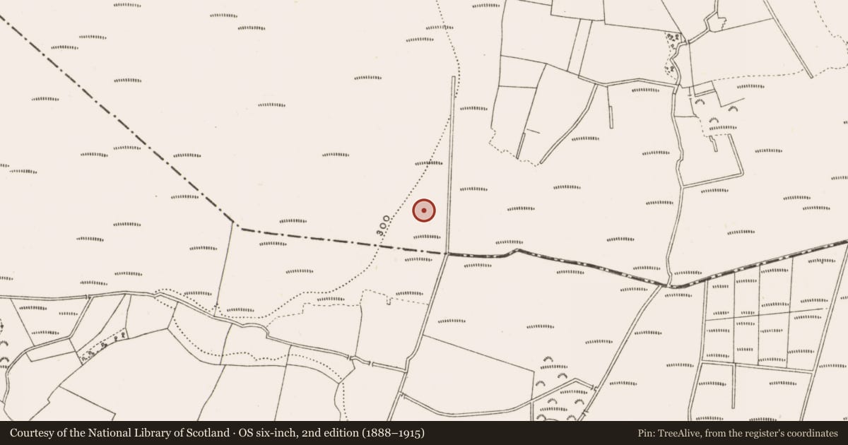 Ordnance Survey six-inch map, 2nd edition (1888–1915) covering the location of Structure - peatland, Clonad, County Offaly, with a pin at the register's coordinates