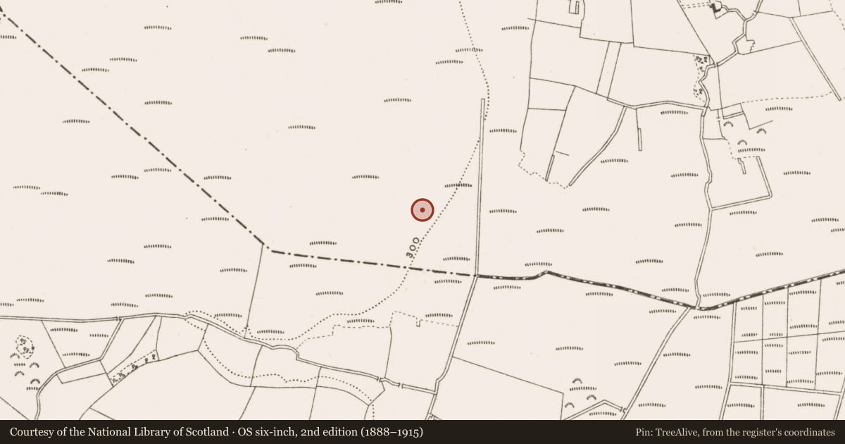 Ordnance Survey six-inch map, 2nd edition (1888–1915) covering the location of Structure - peatland, Clonad, County Offaly, with a pin at the register's coordinates