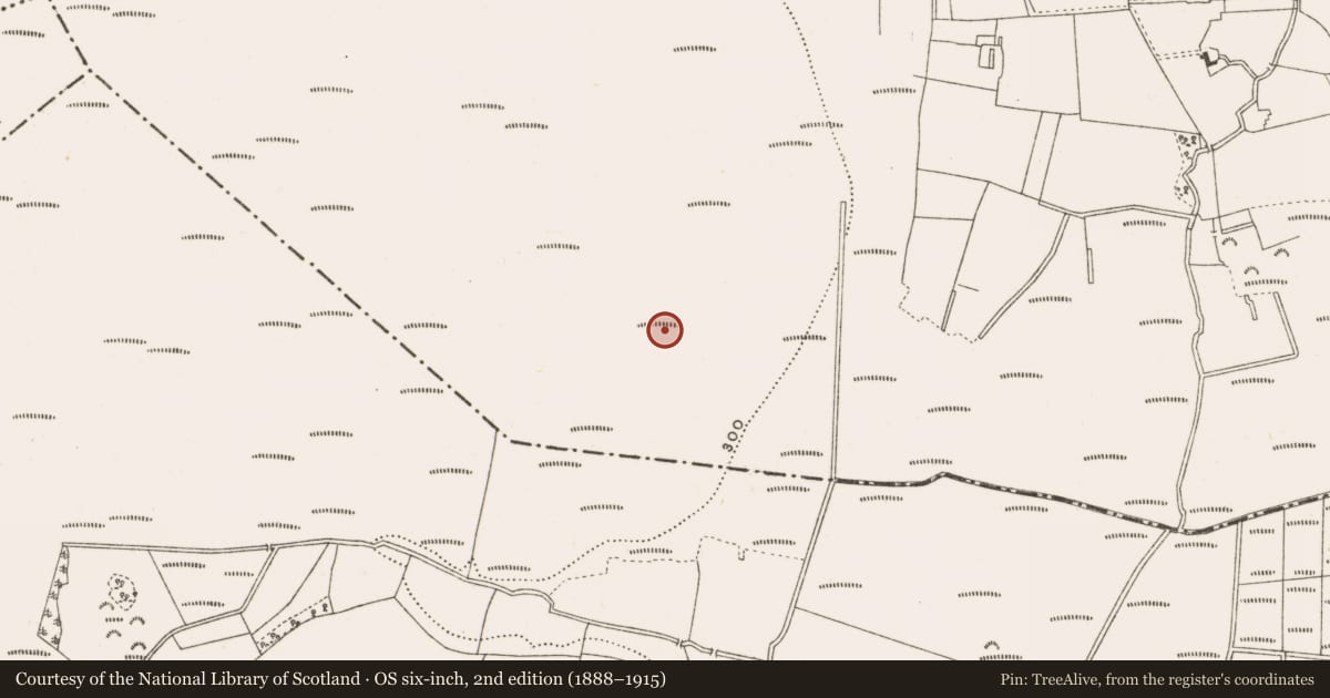 Ordnance Survey six-inch map, 2nd edition (1888–1915) covering the location of Structure - peatland, Clonad, County Offaly, with a pin at the register's coordinates