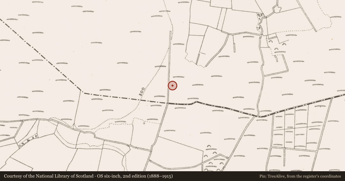 Ordnance Survey six-inch map, 2nd edition (1888–1915) covering the location of Structure - peatland, Clonad, County Offaly, with a pin at the register's coordinates