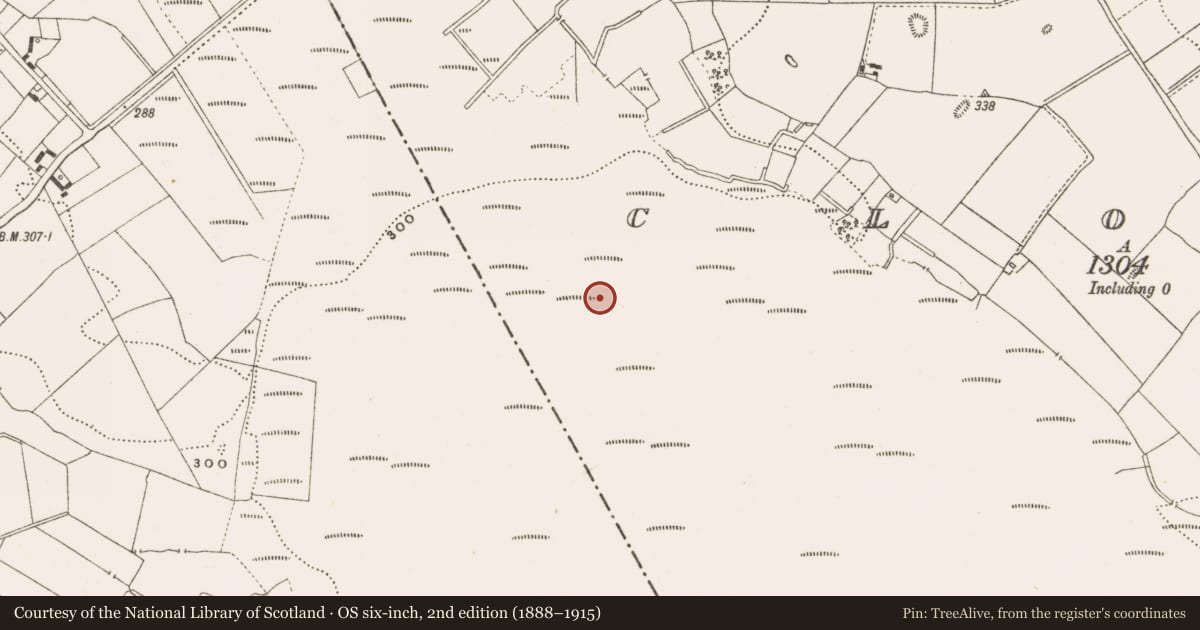 Ordnance Survey six-inch map, 2nd edition (1888–1915) covering the location of Structure - peatland, Clonad, County Offaly, with a pin at the register's coordinates