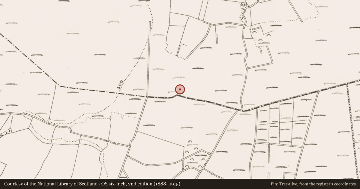 Ordnance Survey six-inch map, 2nd edition (1888–1915) covering the location of Road - class 3 togher, Clonad, County Offaly, with a pin at the register's coordinates