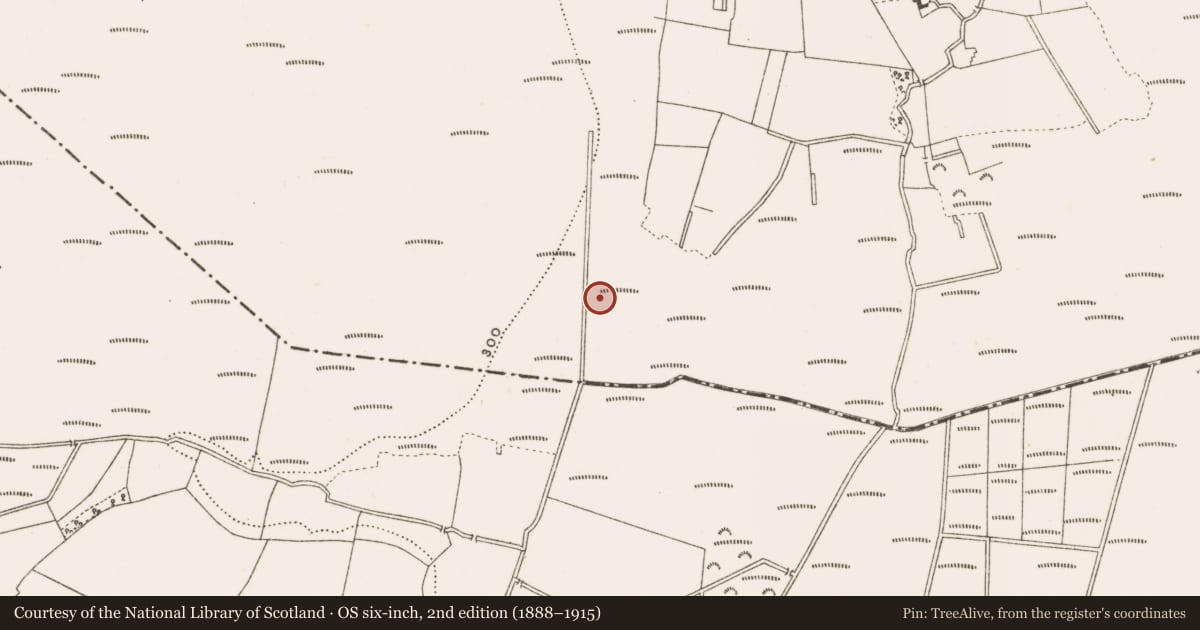 Ordnance Survey six-inch map, 2nd edition (1888–1915) covering the location of Structure - peatland, Clonad, County Offaly, with a pin at the register's coordinates
