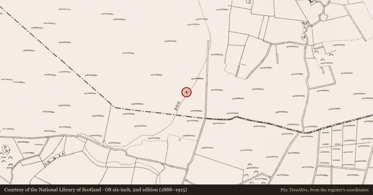 Ordnance Survey six-inch map, 2nd edition (1888–1915) covering the location of Road - class 3 togher, Clonad, County Offaly, with a pin at the register's coordinates