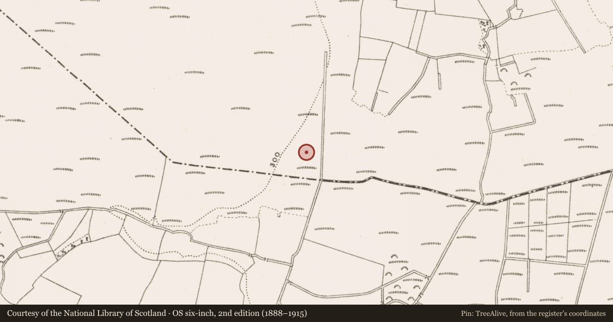 Ordnance Survey six-inch map, 2nd edition (1888–1915) covering the location of Structure - peatland, Clonad, County Offaly, with a pin at the register's coordinates