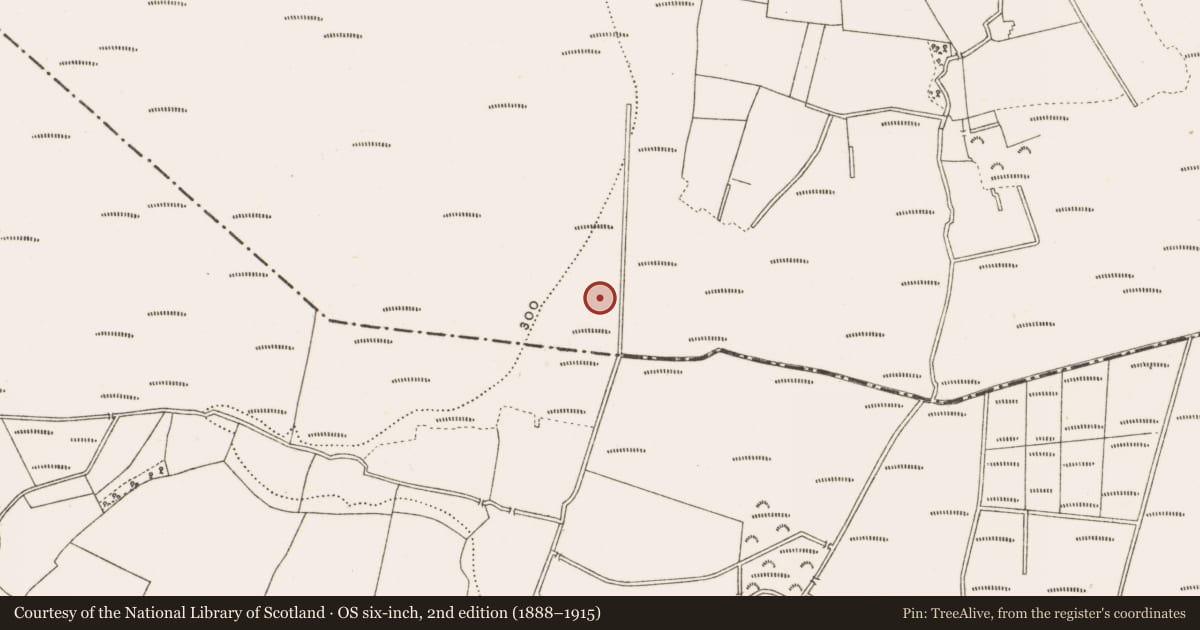 Ordnance Survey six-inch map, 2nd edition (1888–1915) covering the location of Structure - peatland, Clonad, County Offaly, with a pin at the register's coordinates