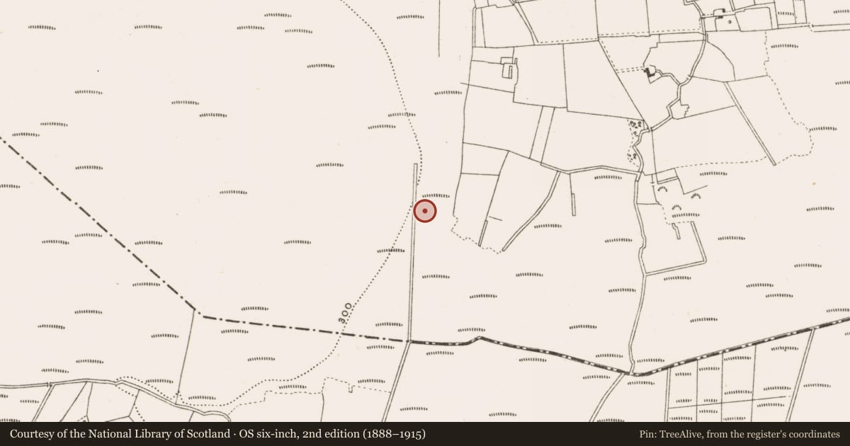 Ordnance Survey six-inch map, 2nd edition (1888–1915) covering the location of Structure - peatland, Clonad, County Offaly, with a pin at the register's coordinates