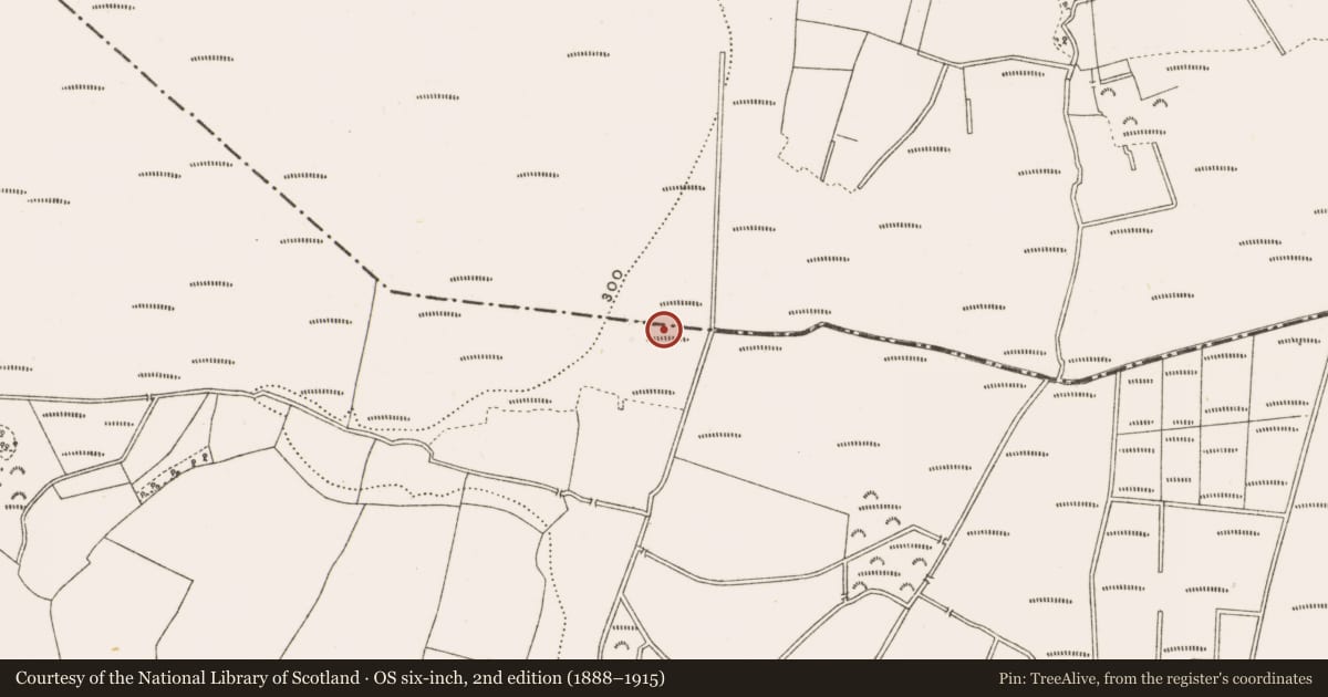 Ordnance Survey six-inch map, 2nd edition (1888–1915) covering the location of Structure - peatland, Clonad, Rathfeston, County Offaly, with a pin at the register's coordinates