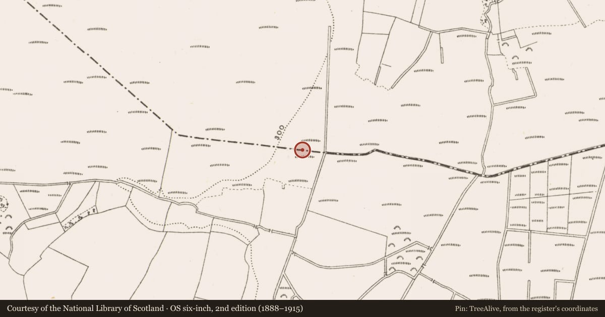 Ordnance Survey six-inch map, 2nd edition (1888–1915) covering the location of Structure - peatland, Clonad, Rathfeston, County Offaly, with a pin at the register's coordinates