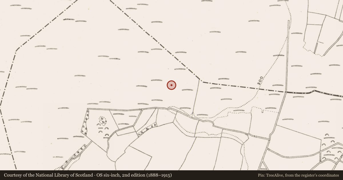 Ordnance Survey six-inch map, 2nd edition (1888–1915) covering the location of Structure - peatland, Rathfeston, County Offaly, with a pin at the register's coordinates