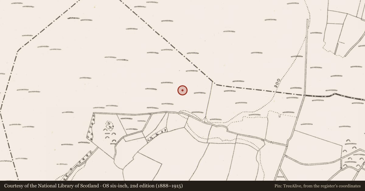 Ordnance Survey six-inch map, 2nd edition (1888–1915) covering the location of Road - class 3 togher, Rathfeston, County Offaly, with a pin at the register's coordinates