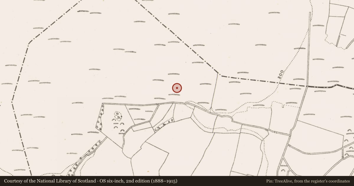 Ordnance Survey six-inch map, 2nd edition (1888–1915) covering the location of Road - class 3 togher, Rathfeston, County Offaly, with a pin at the register's coordinates