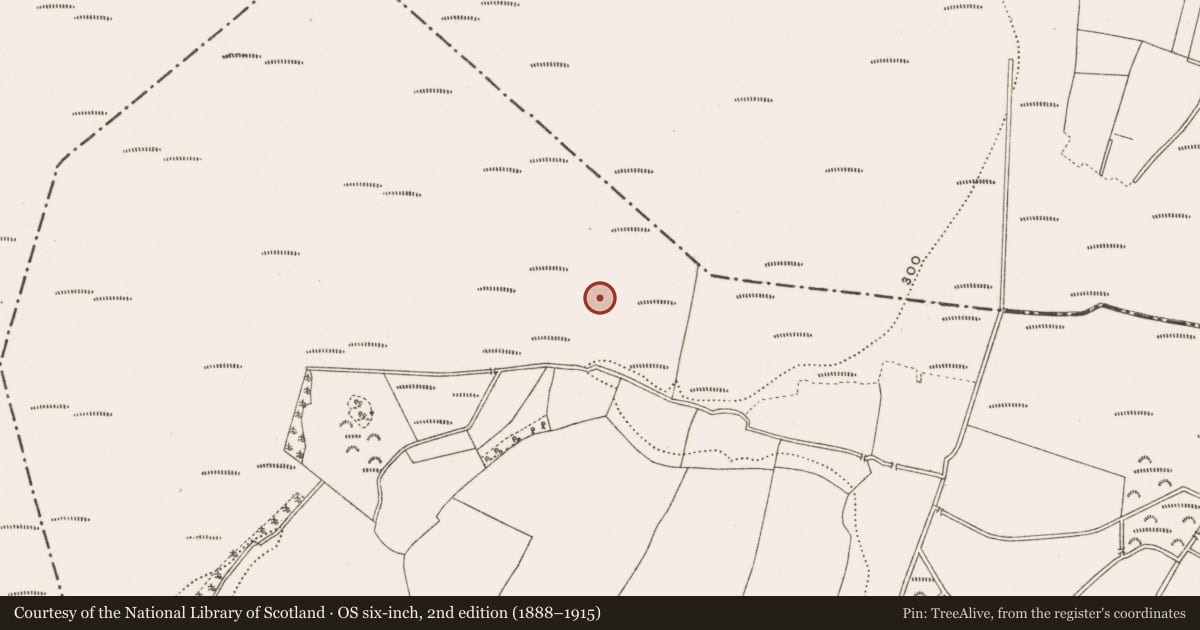 Ordnance Survey six-inch map, 2nd edition (1888–1915) covering the location of Structure - peatland, Rathfeston, County Offaly, with a pin at the register's coordinates