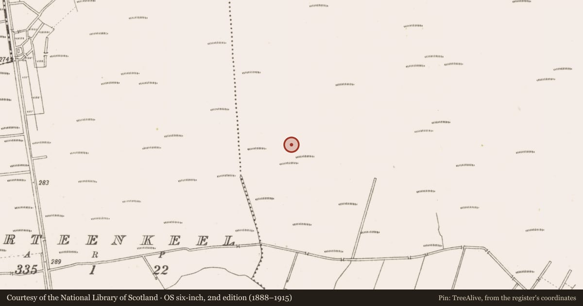 Ordnance Survey six-inch map, 2nd edition (1888–1915) covering the location of Structure - peatland, Ballynakill, County Offaly, with a pin at the register's coordinates