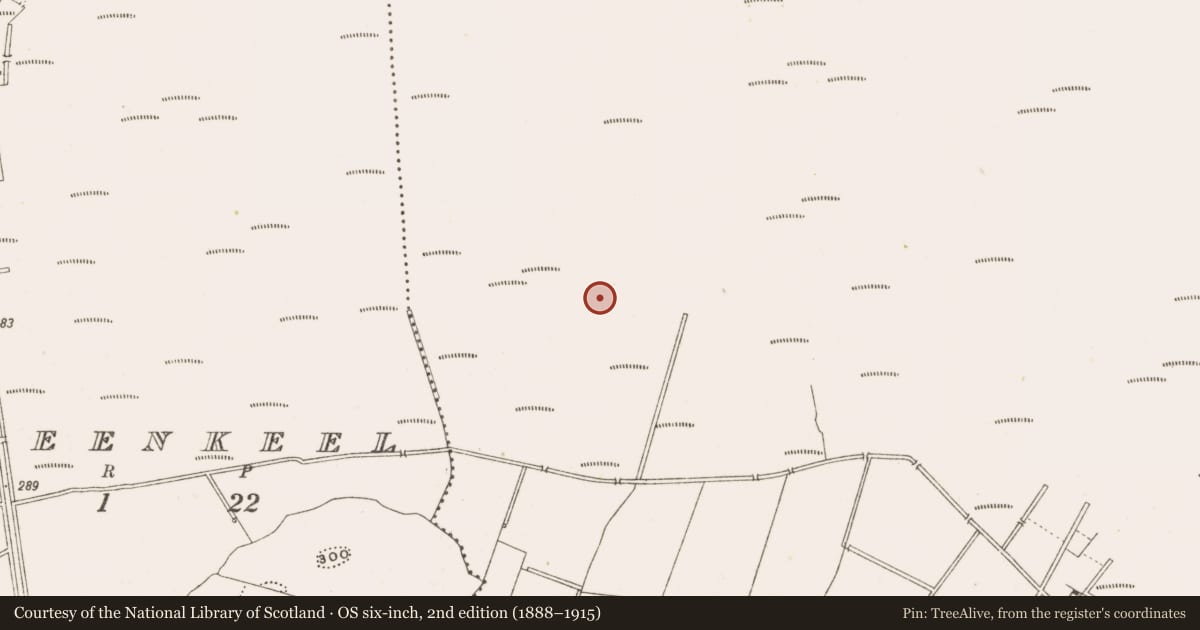 Ordnance Survey six-inch map, 2nd edition (1888–1915) covering the location of Structure - peatland, Ballynakill, County Offaly, with a pin at the register's coordinates